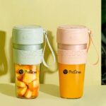 مخلوط کن شارژی پرووان مدل PROONE PHP04 سبز - تصویر 2