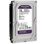 هارد اینترنال وسترن دیجیتال NEW مدل WesternDigital PURPLE HDD 1TB بنفش