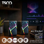 اسپیکر دوتکه دسکتاپ تسکو مدل TSCO TS 2051 - تصویر 4