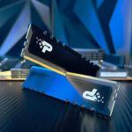 رم دسکتاپ DDR5 پاتریوت مدل PATRIOT Signature Line 5600MHz 8GB CL46 - تصویر 3