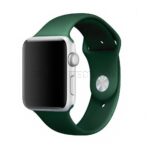 بند اپل واچ مدل SILICON 42/44/45/49mm یشمی - تصویر 2